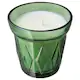 VINTER 2021 ВИНТЕР 2021, Ароматическая свеча в стакане, Сосновая хвоя и мох/темно-зеленый, 8 см