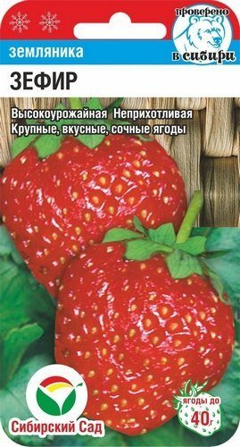 ягоды Клубника Зефир 10 шт ц/п Сиб.Сад