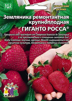 ягоды Земляника Гиганто Росса® (крупнопл.) 10 шт ц/п Уральский дачник (ремонтантная)