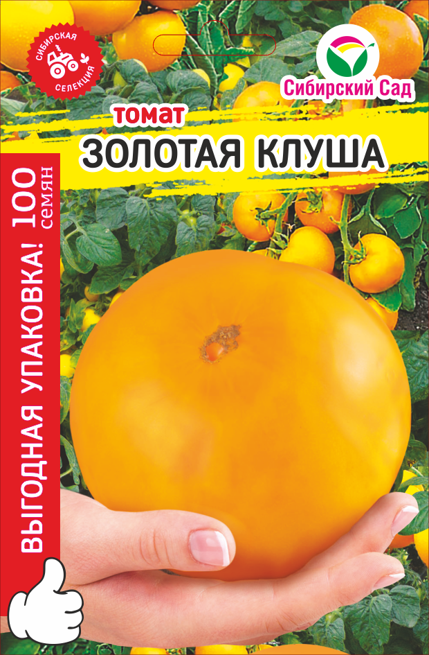 Крупная сибирская помидора. Томат золотые купола сибирский сад. Семена томат золотое сердце. Томат золотой кенигсберг семена. Томат золотой кенигсберг сибирский сад.