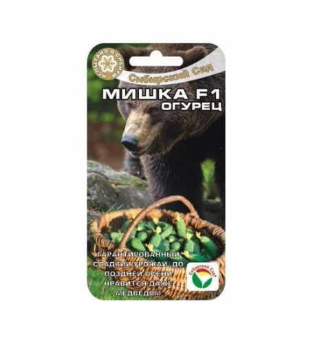 Сибирский мишка бмв