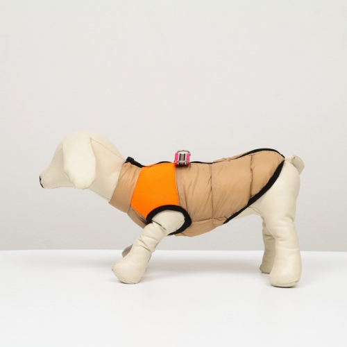 Куртка для собак на молнии, размер 8 (ДС 23 см, ОГ 30, ОШ 22 см), бежевая с оранжевым
