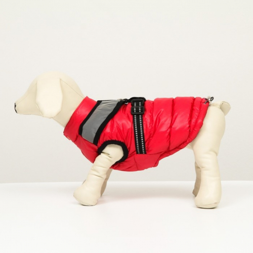 Куртка для собак со светоотражающей шлейкой,  размер 8 (ДС 23 см, ОГ 30, ОШ 22 см), красная