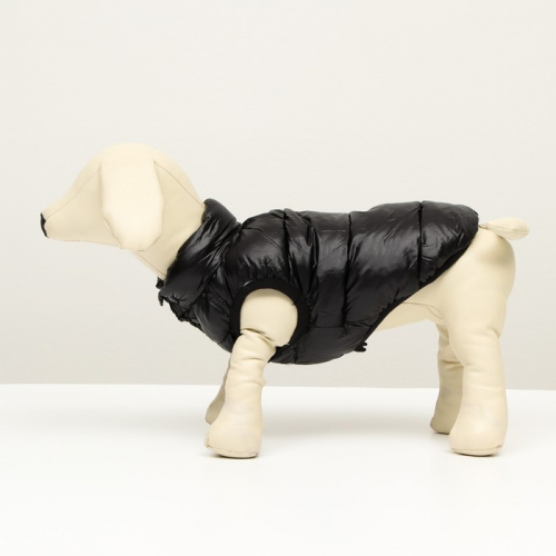 Куртка для собак двухсторонняя с принтом,  размер 8 (ДС 23 см, ОГ 30, ОШ 22 см), чёрная