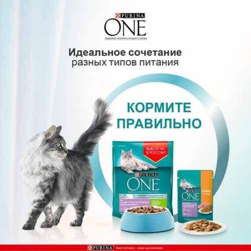 Влажный корм Purinа One для кошек, курица/морковь, 75 г