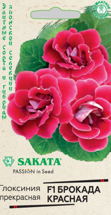 Цветы Глоксиния Брокада красная F1, 4 шт ц/п Гавриш (комн.)