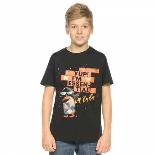 BFT4871 футболка для мальчиков (1 шт в кор.)
