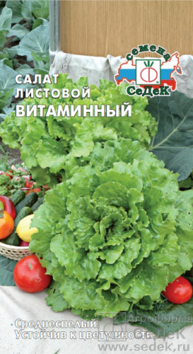 Салат Витаминный 0,5