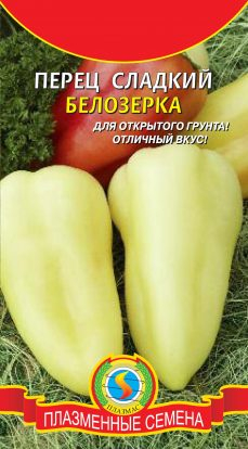Перец Белозерка (среднеранний стабильно урожайный сорт. Устойчив ко многим заболеваниям и вирусам)