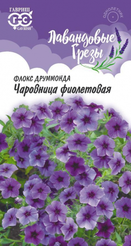 Флокс Чаровница фиолетовый, друммонда 0,05г Лавандовые грезы