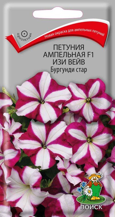 Петуния Изи Вейв Бургунди Стар ампельная (Семена Профи) 5 шт