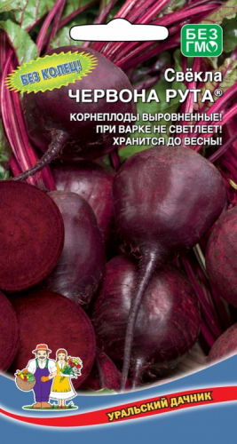 Свекла Червона Рута® (УД) Е/П. Уральский дачник