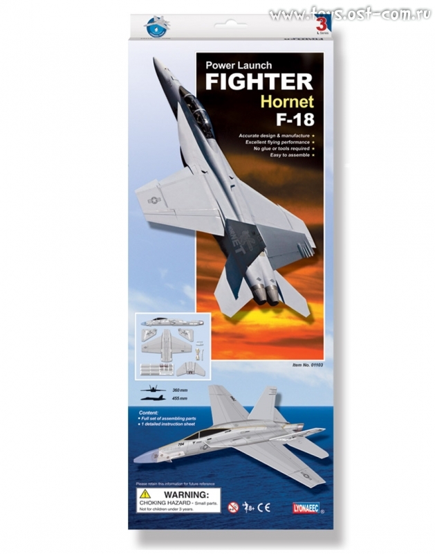 **LYONAEEC Самолет Large Power Fighter