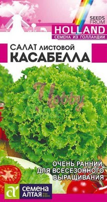 Салат Касабелла (0,01 гр) Семена Алтая Seminis