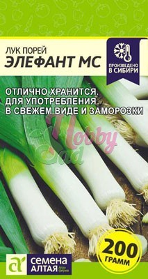 Лук Элефант МС Порей (1 гр) Семена Алтая