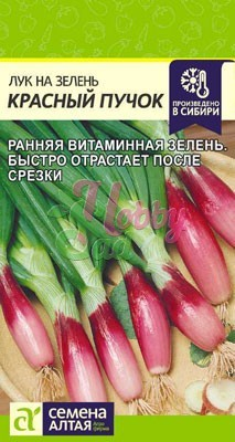 Лук Красный Пучок на зелень (0,5 гр)  Семена Алтая