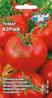 Томат Взрыв (0,1 г) Седек