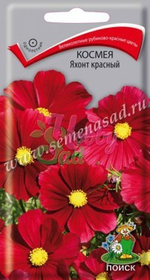 Цветы Космея Яхонт красный (0,1 г) Поиск