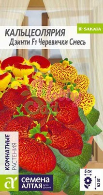 Цветы Кальцеолярия Дэинти Черевички смесь (5 шт) Семена Алтая Комнатные
