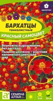 Цветы Бархатцы Красный Самоцвет тонколистные (0,1 г) Семена Алтая