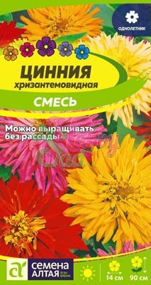 Цветы Цинния Хризантемовидная смесь (0,3 г) Семена Алтая