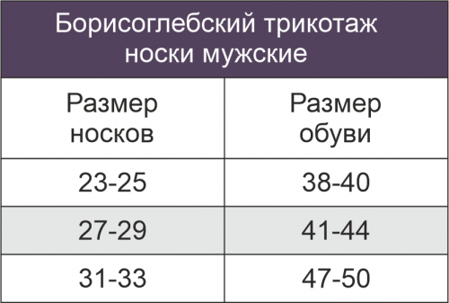 Борисоглебский Трикотаж, Носки мужские в сетку Борисоглебский Трикотаж