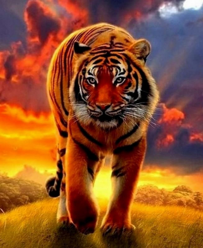 Картина по номерам 40х50 - Массивный тигр