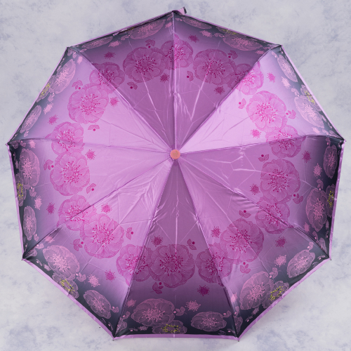зонт 35.FSC2025-05