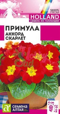 Цветы Примула Аккорд Скарлет (5 шт) Семена Алтая