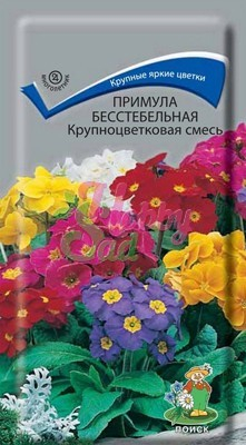 Цветы Примула Крупноцветковая смесь (бесстебельная) (0,04 г) Поиск