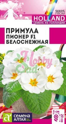 Цветы Примула Пионер Белоснежная (5 шт) Семена Алтая