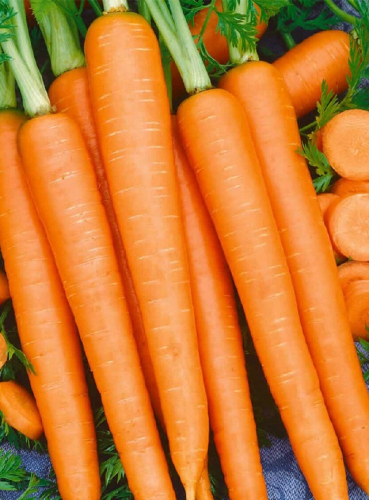 Морковь Нандрин F1 (УД) 0,2 гр цв.п.