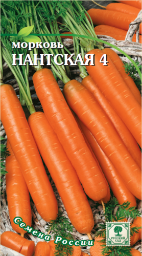 Морковь Нантская  4*   2г