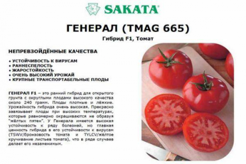 Томат генерал отзывы фото