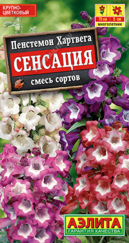 Пенстемон Сенсация смесь  0,1г
