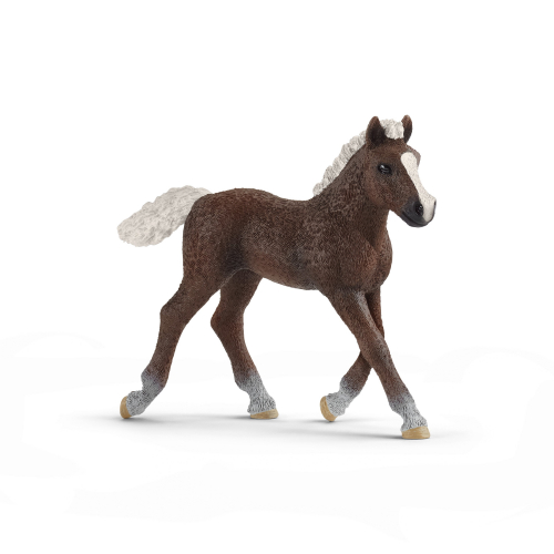 Фигурка Schleich Шварцвальдский жеребенок