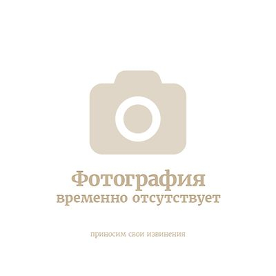 Фото временно отсутствует картинка