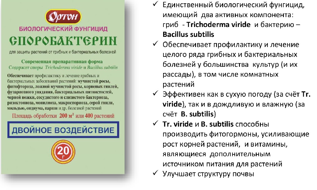 Цветки инструкция по применению. Споробактерин /20 г/Ортон/. Споробактерин-рассада фунгицид. Споробактерин 20 гр.. Споробактерин для растений.