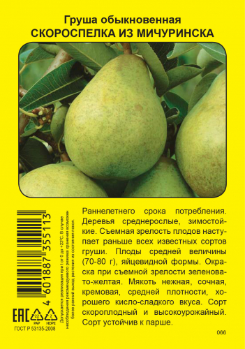 Груша Скороспелка из Мичуринска