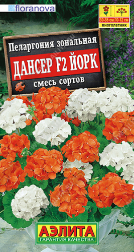 Пеларгония Дансер F2 Йорк, РАСРОДАЖА СРОК РЕАЛИЗАЦИИ ДО 12.2022 смесь сортов ---   Одн Сел. Floranova