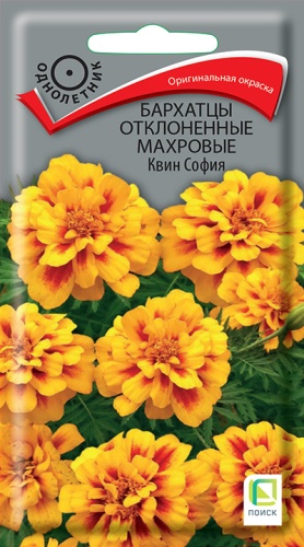 Цветы Бархатцы откл. Квин София 0,4 г ц/п Поиск (высота 20 см)