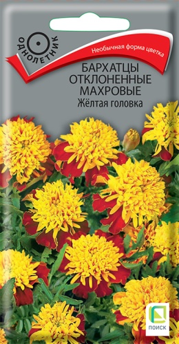 Цветы Бархатцы откл. Желтая головка 0,4 г ц/п Поиск (высота 25 см)