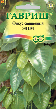 Цветы Фикус Священный Эдем 0,03 г ц/п Гавриш (комн.)