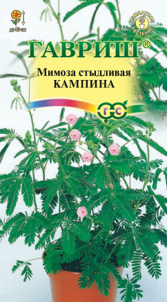 Цветы Мимоза Стыдливая Кампина 0,1 г ц/п Гавриш (комн.)