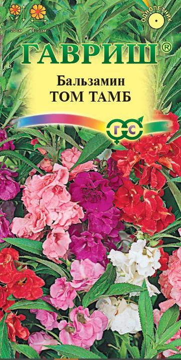 Бальзамин Том Тамб Купить Семена