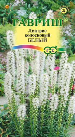 Цветы Лиатрис Белый 0,05 г ц/п Гавриш (мног.)