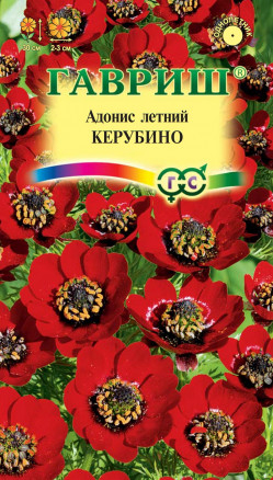 Цветы Адонис Керубино 0,1 г ц/п Гавриш (однол.)
