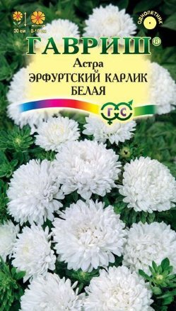 Цв. Астра карлик Эрфуртский карлик Белый 0,3 г ц/п Гавриш