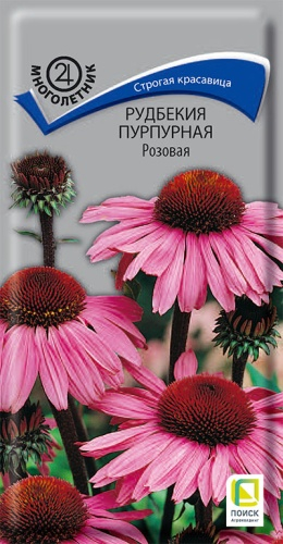 Цветы Рудбекия Розовая 0,1 г ц/п Поиск (мног.)