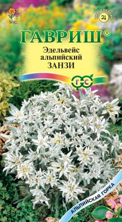 Цветы Эдельвейс Занзи, альпийский 0,01 г ц/п Гавриш (мног.)